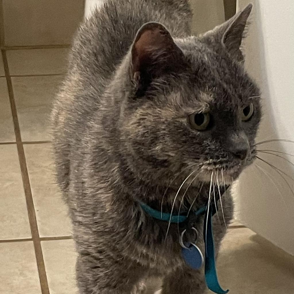 Cuyahoga — thumbnail 2