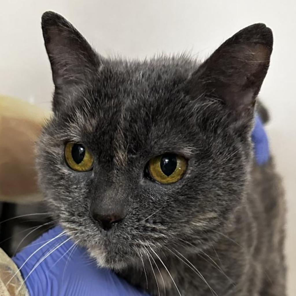 Cuyahoga — thumbnail 3