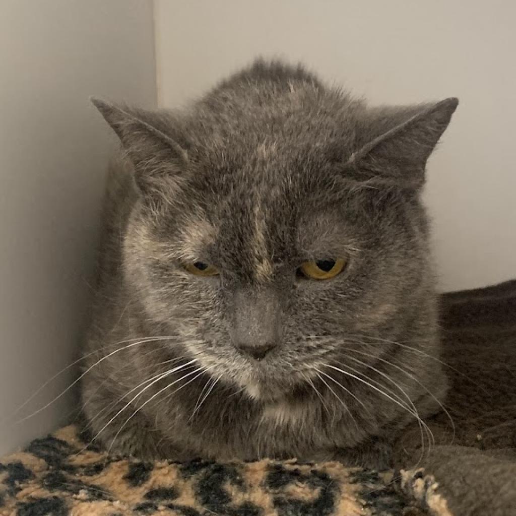 Cuyahoga — thumbnail 4