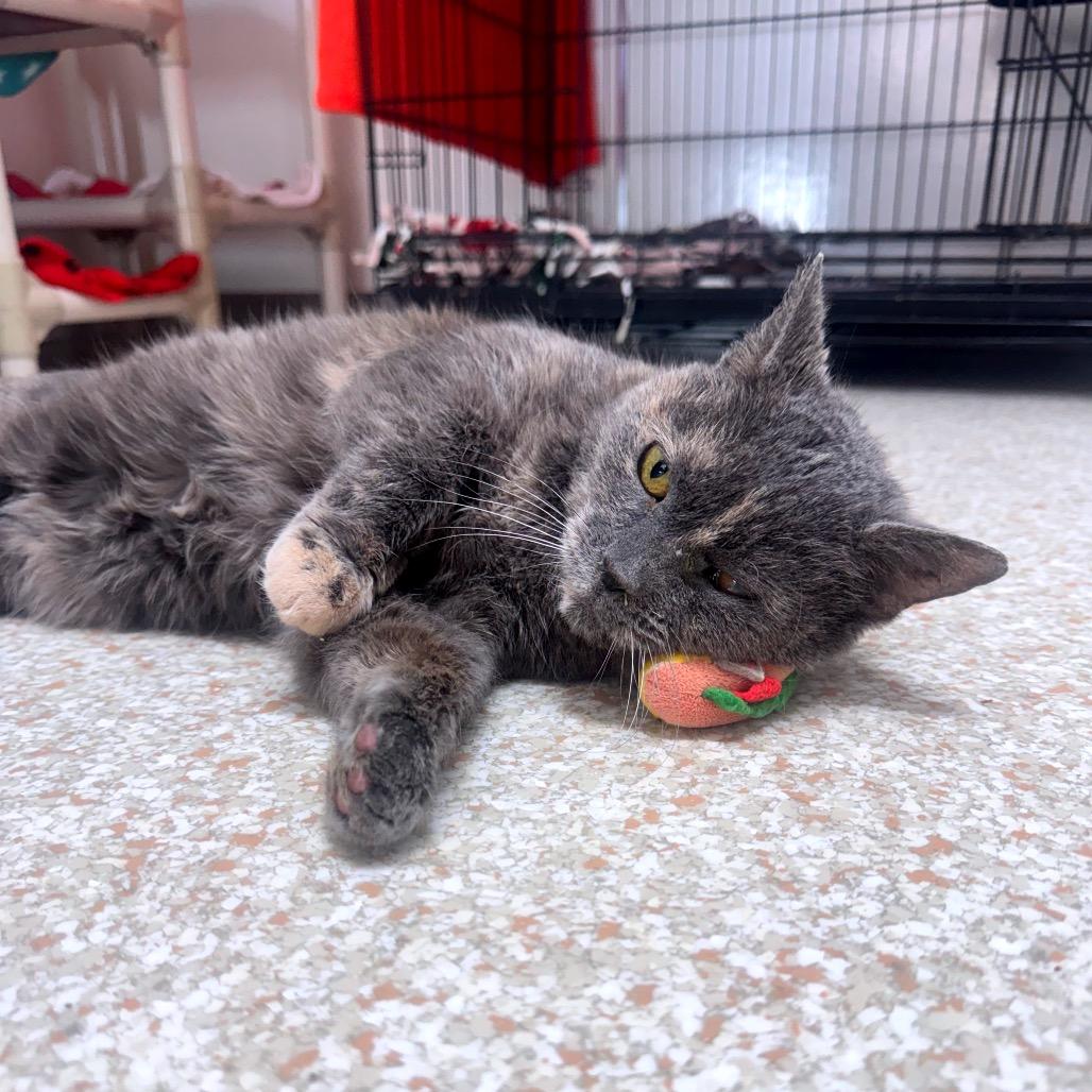 Cuyahoga — thumbnail 5