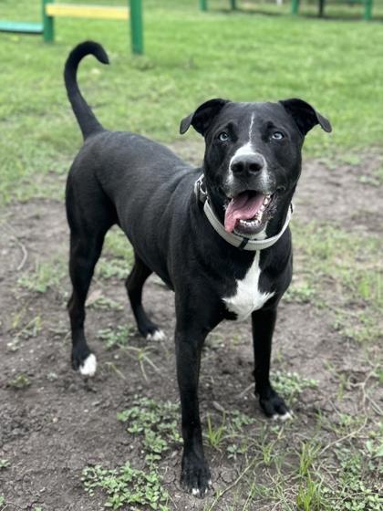 Topo — thumbnail 2