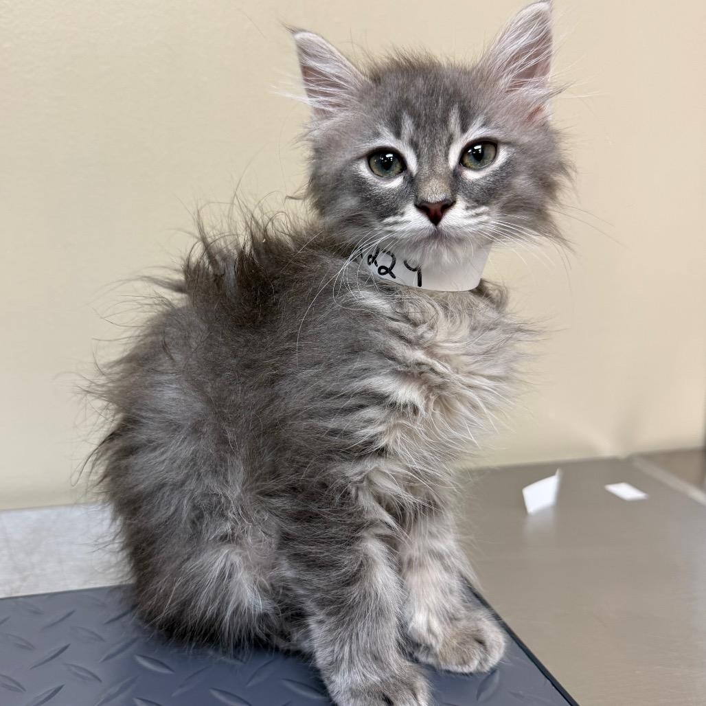 Eddie — thumbnail 2