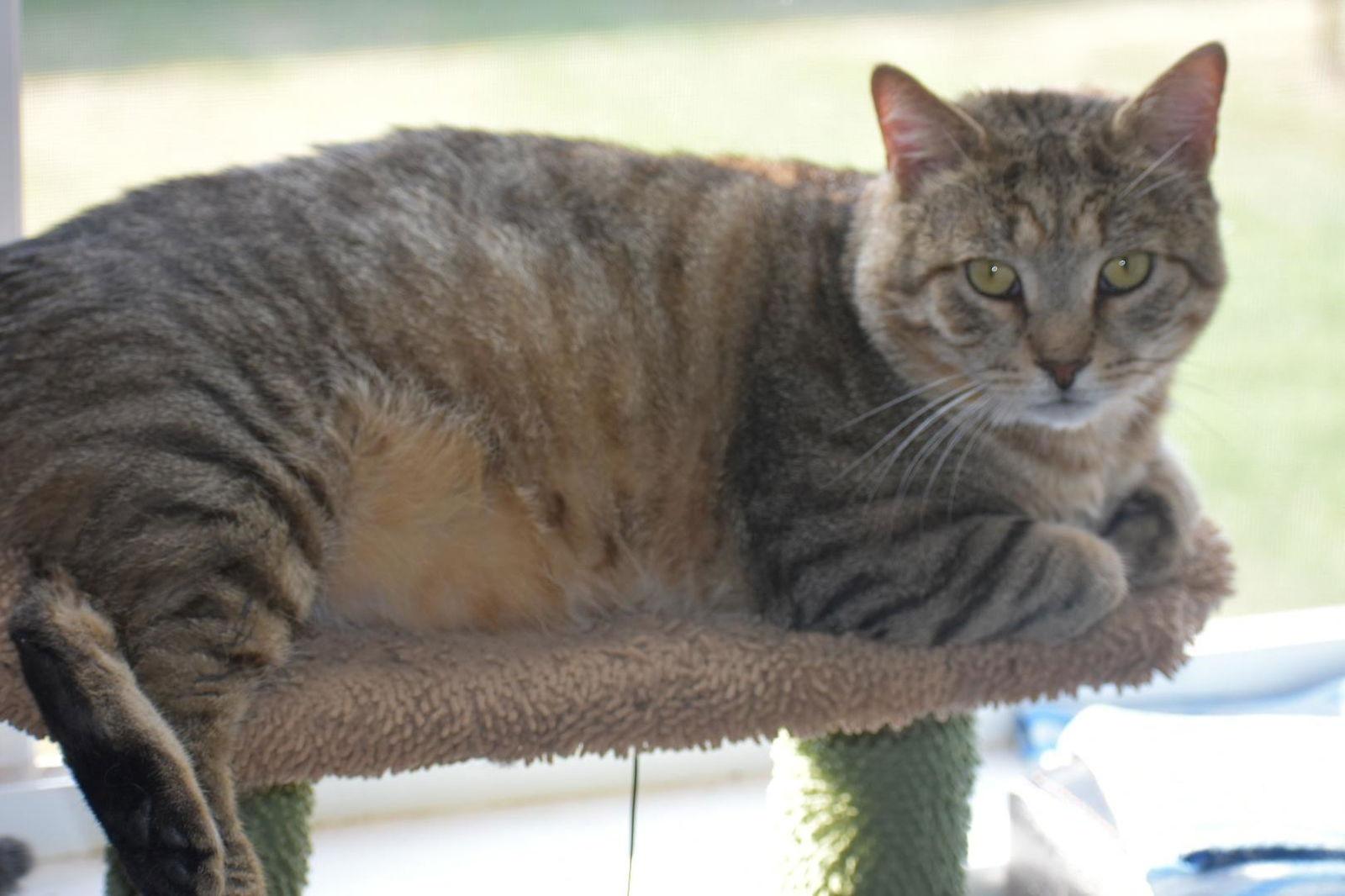 Rupert — thumbnail 2