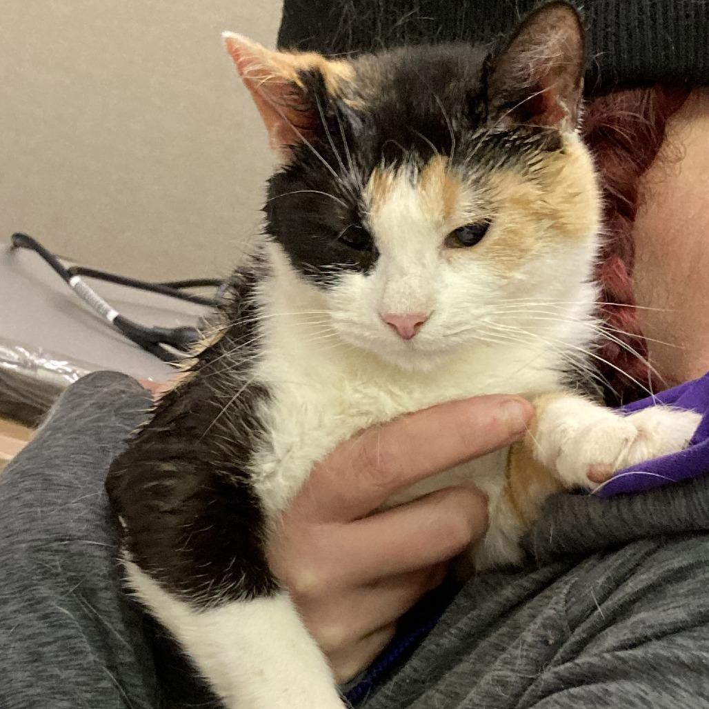 Speed — thumbnail 2