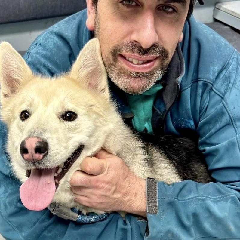 Enlarge Suki, an adopted Husky in Buffalo, NY image 3/3