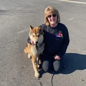 Jack Jack, a Adoptable Chow Chow in Wilton, CA image 2/3