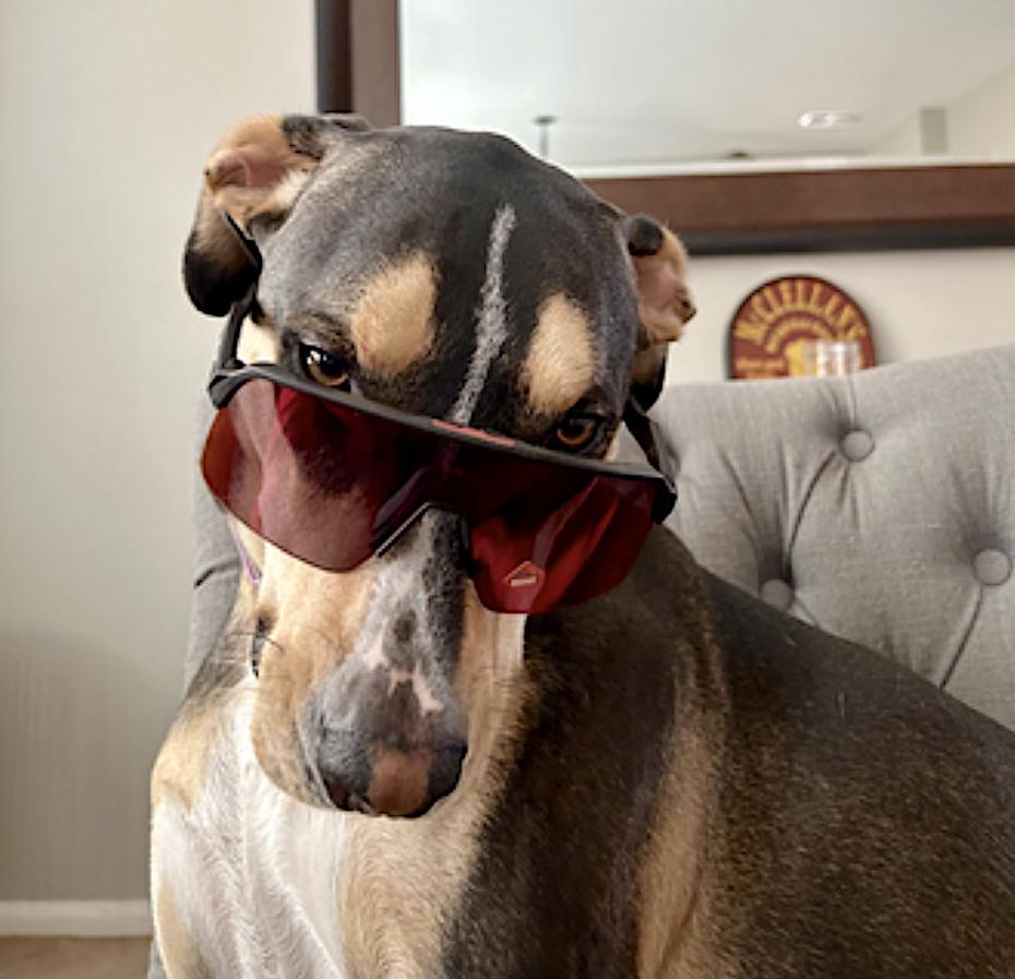 Marley — thumbnail 3