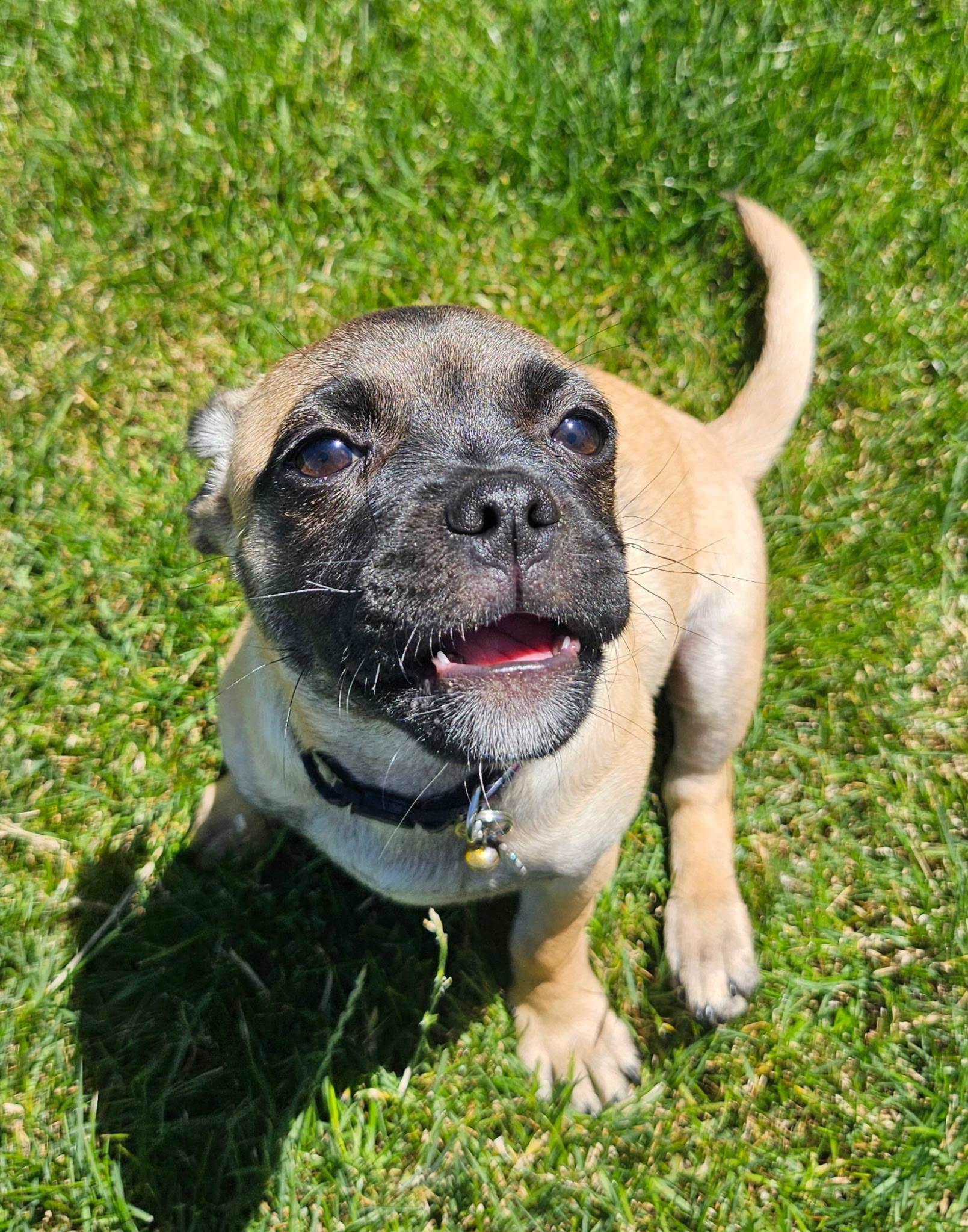 Peggy photo 4