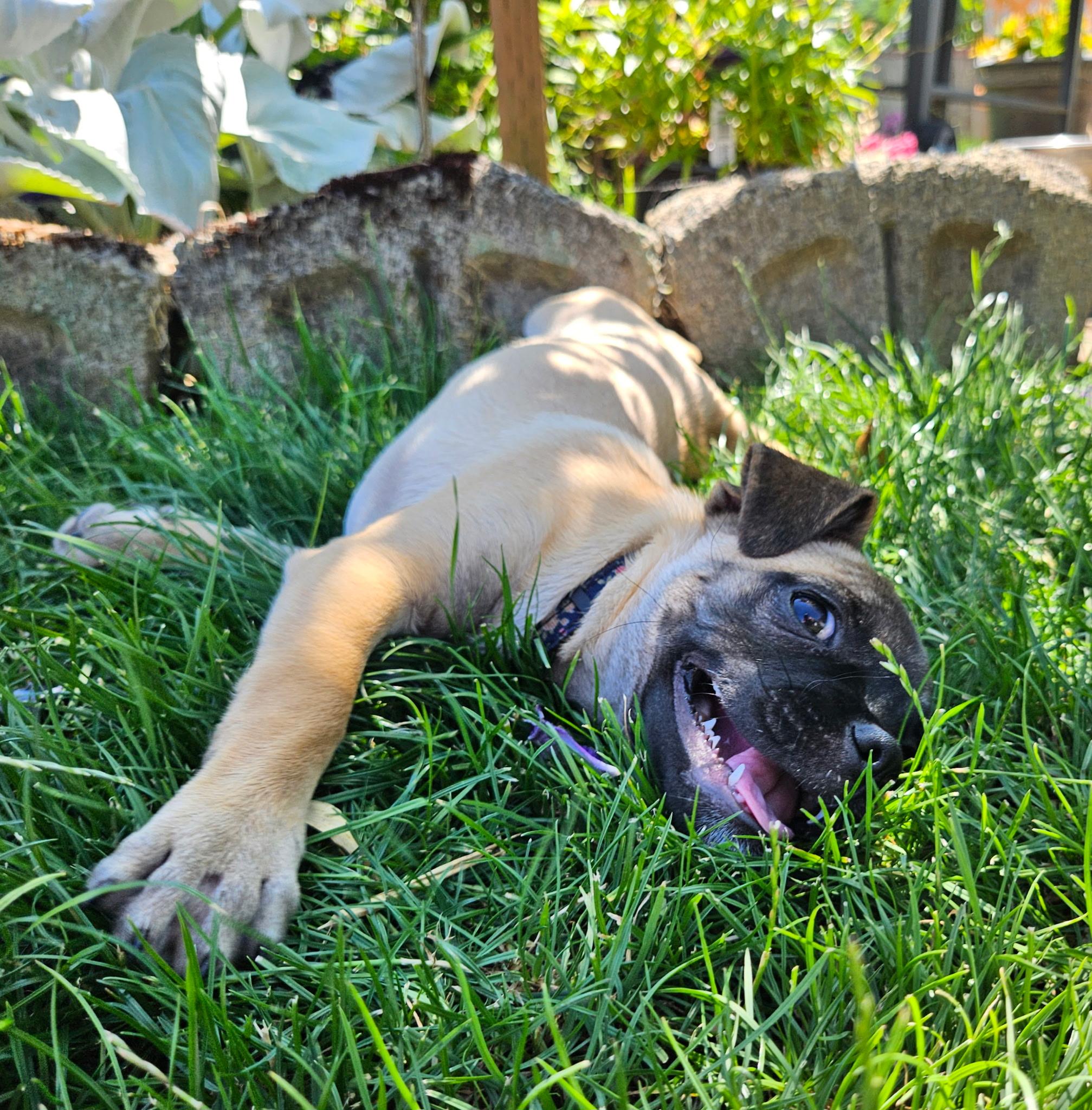 Peggy photo 2