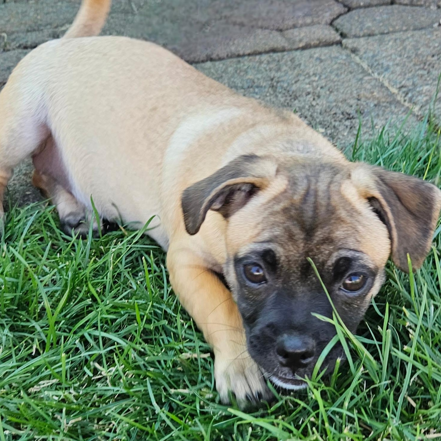 Peggy, Baby Female unknown