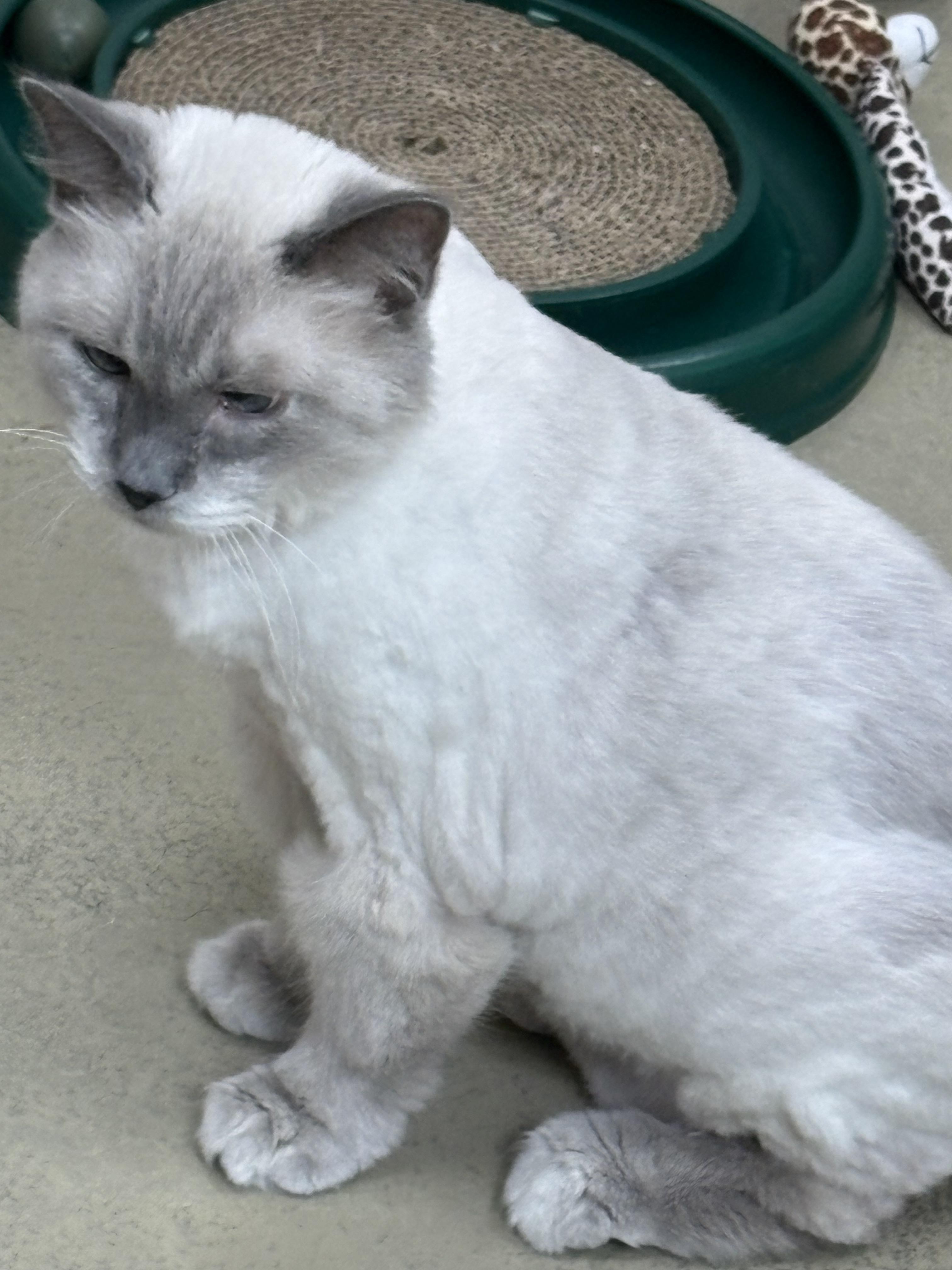 Max photo 1