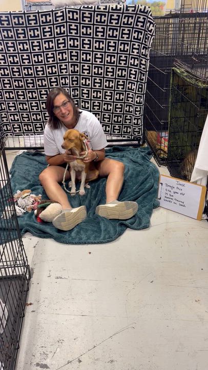 Enlarge Jake, a Adoptable mixed breed in Muldrow, OK video 4/4
