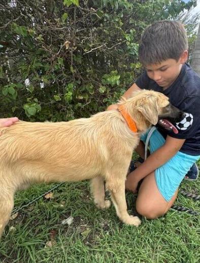 LEGEND (FOSTER OR FOSTER TO ADOPT), a ADOPTABLE mixed breed in Ajax, ON image 5/6