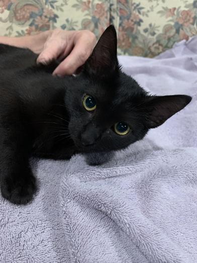 Kira — thumbnail 4