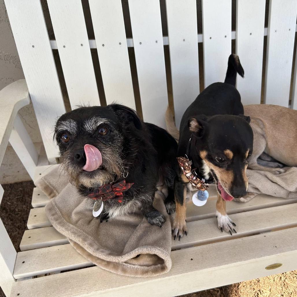 Chiquita Clayton thumbnail 3