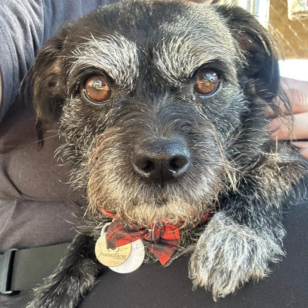 Chiquita Clayton thumbnail 4