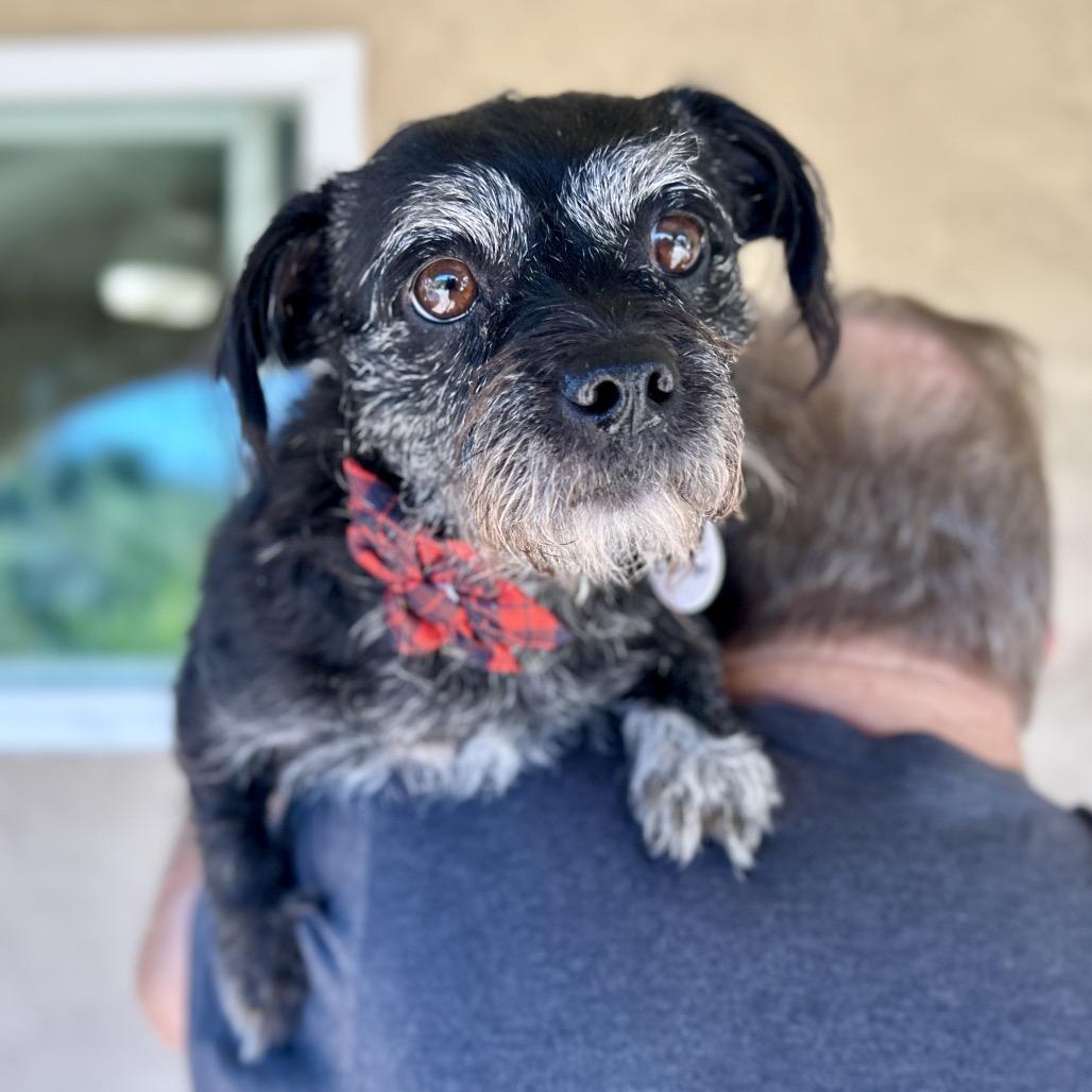 Chiquita Clayton thumbnail 5