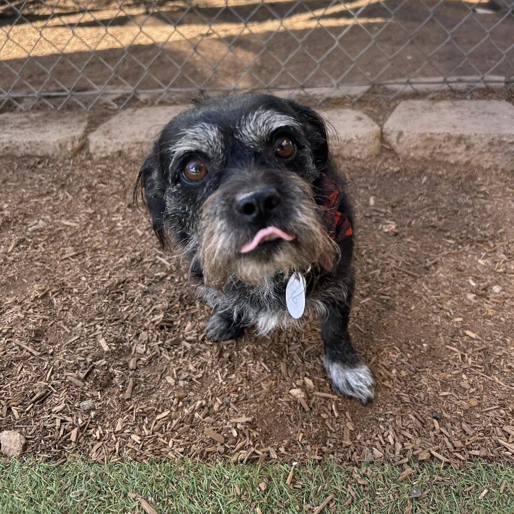 Chiquita Clayton thumbnail 6