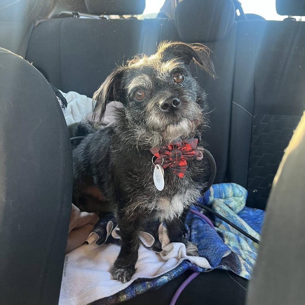 Chiquita Clayton thumbnail 7