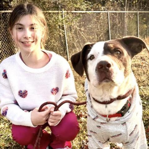 Enlarge Bandit -s, a ADOPTABLE mixed breed in Sequatchie, TN image 2/6