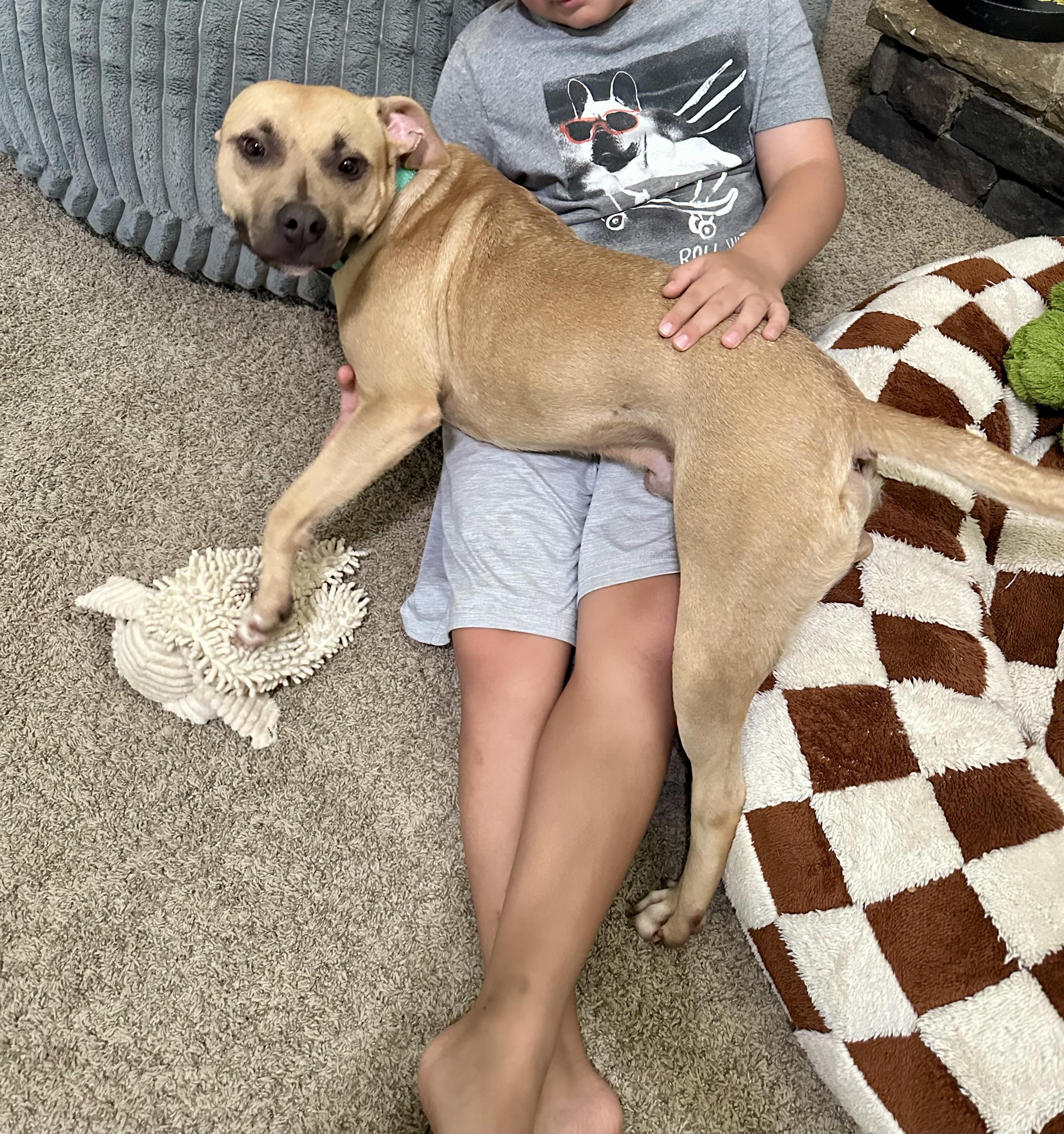 Happy, a Adoptable Mixed Breed in Auburn, GA image 2/6