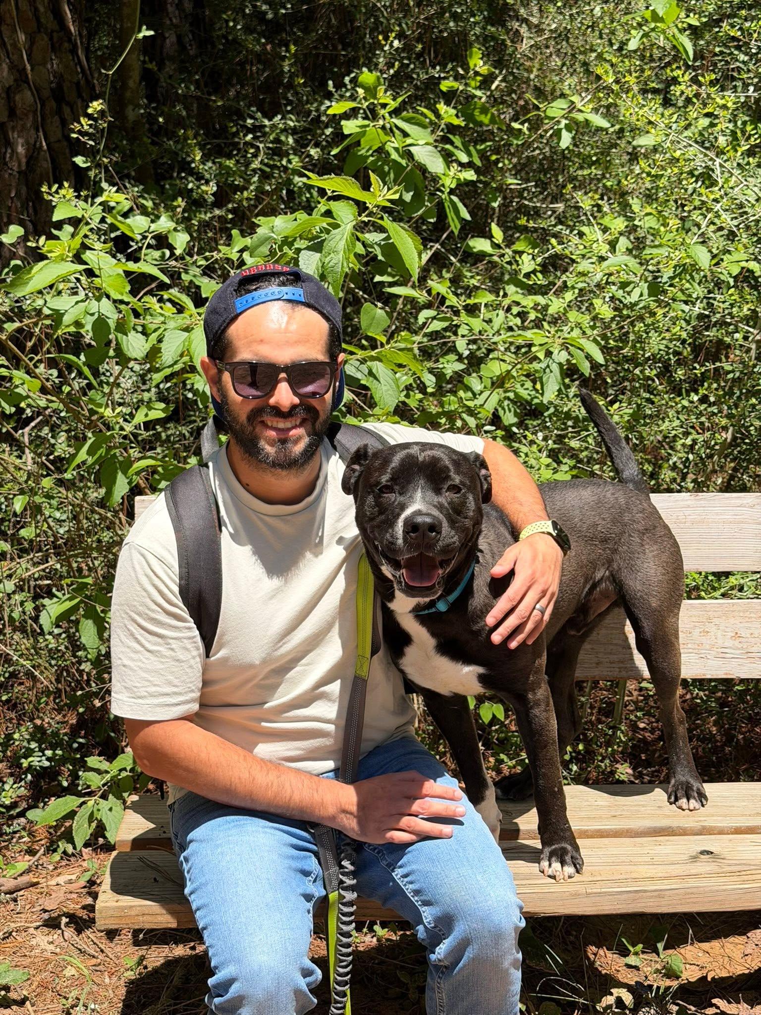 Magic (THE SWEETEST, calm, gentle, friendly, good with kids, walks well on a leash), adopted, Young Male Pit Bull Terrier.