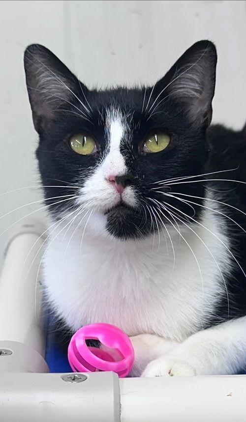 Kellywillow Grove thumbnail 4