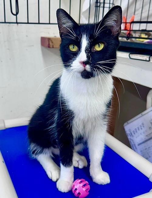 Kellywillow Grove thumbnail 3