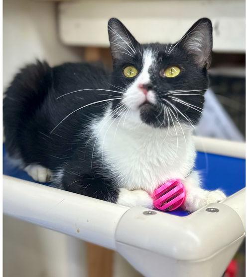 Kellywillow Grove thumbnail 5