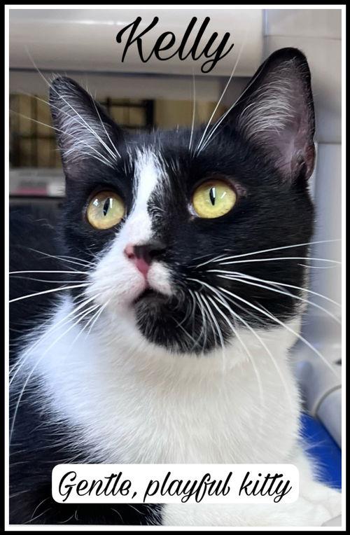 Kellywillow Grove thumbnail 2