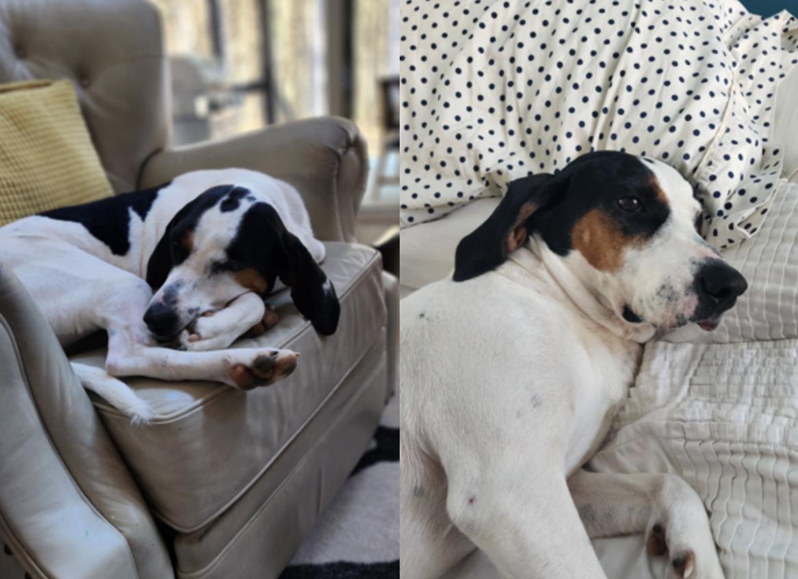 Madeline — thumbnail 3