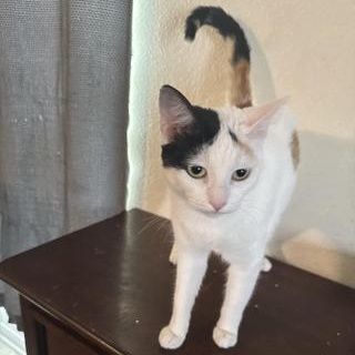 Sally 2