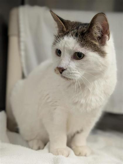 Minnie (baby) — thumbnail 2