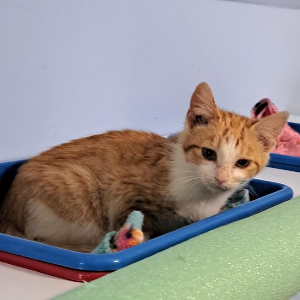 Little Bit — thumbnail 3