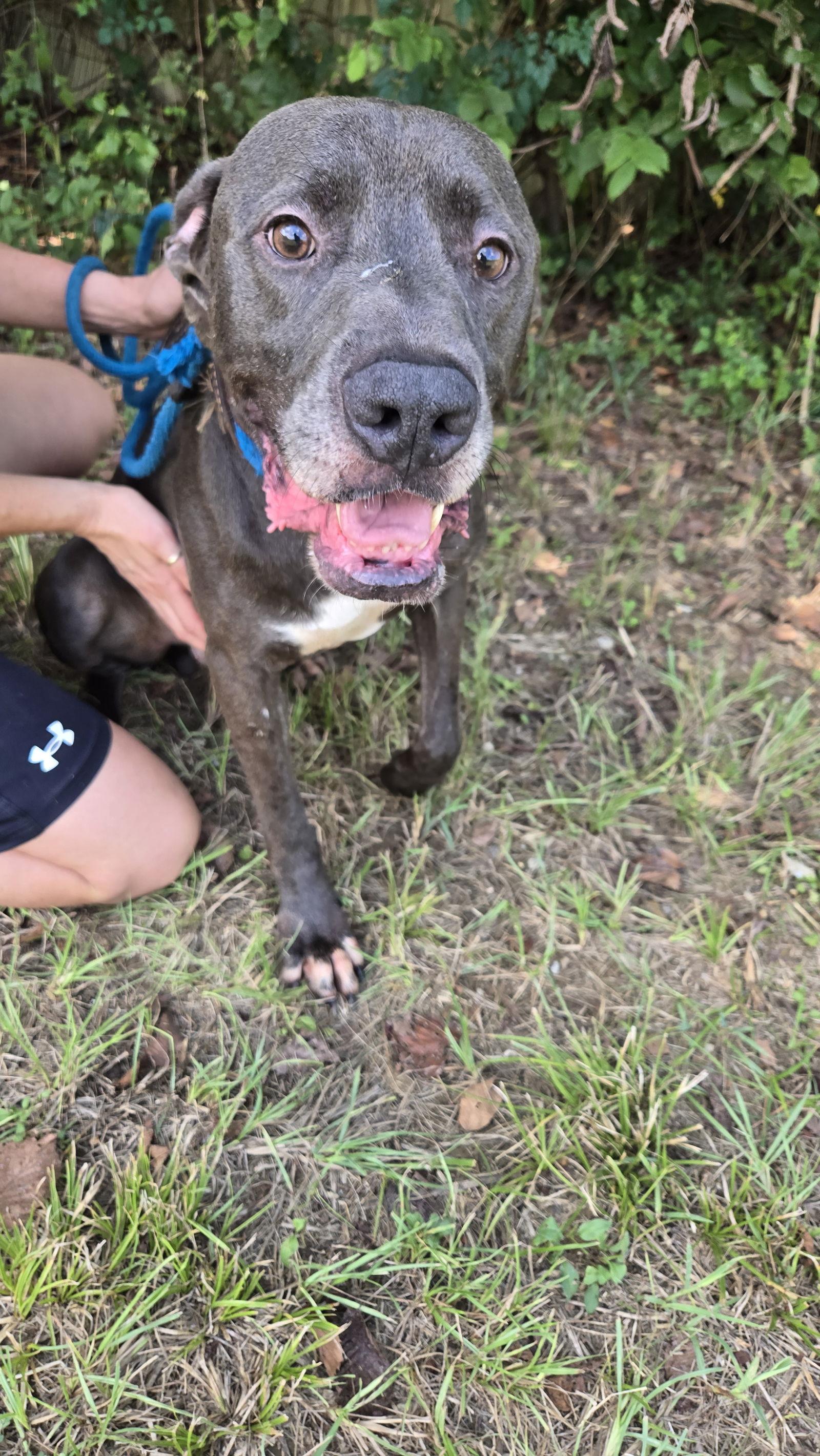 Lexington — thumbnail 2