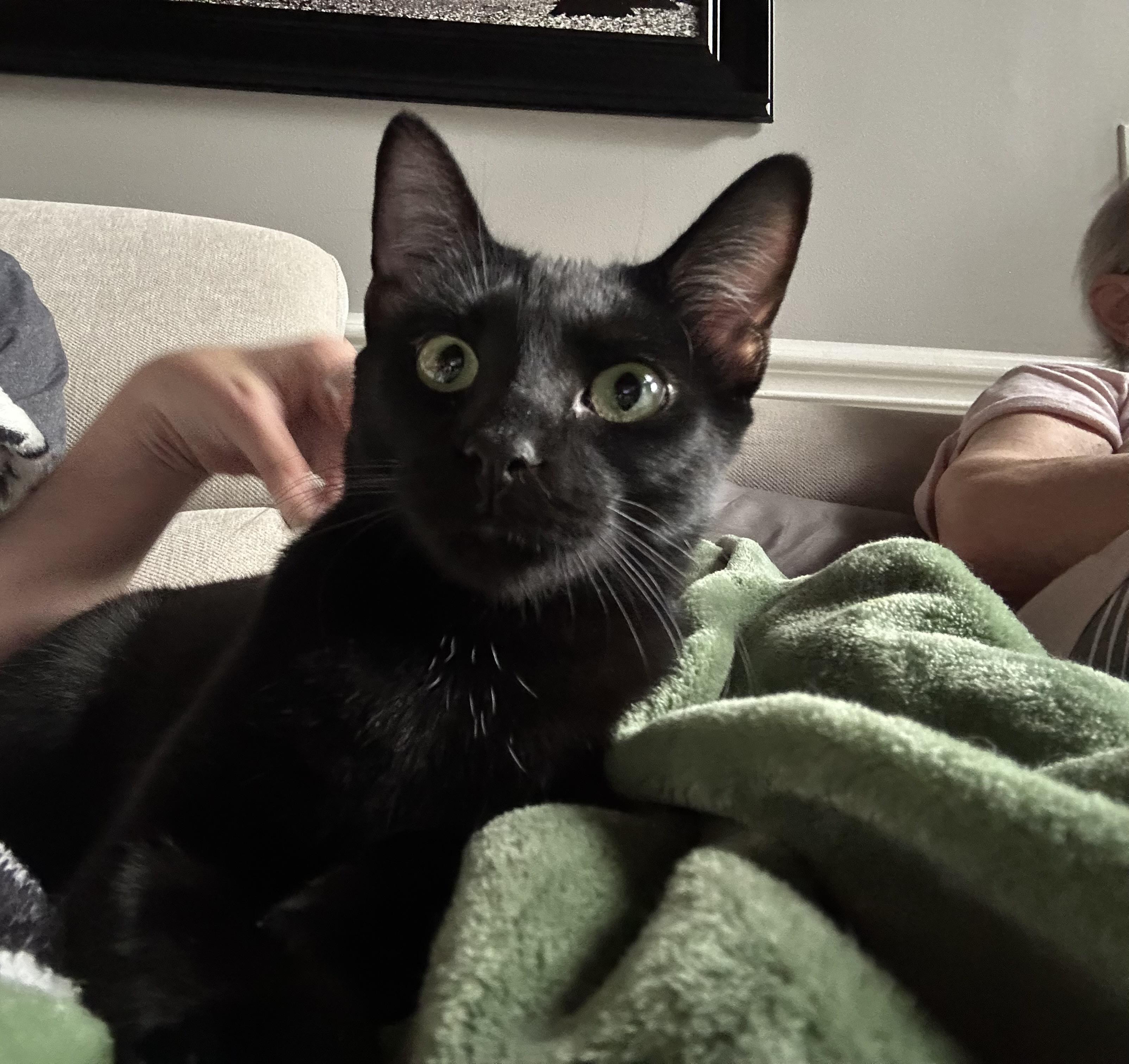 Johny - Sweet Young Male