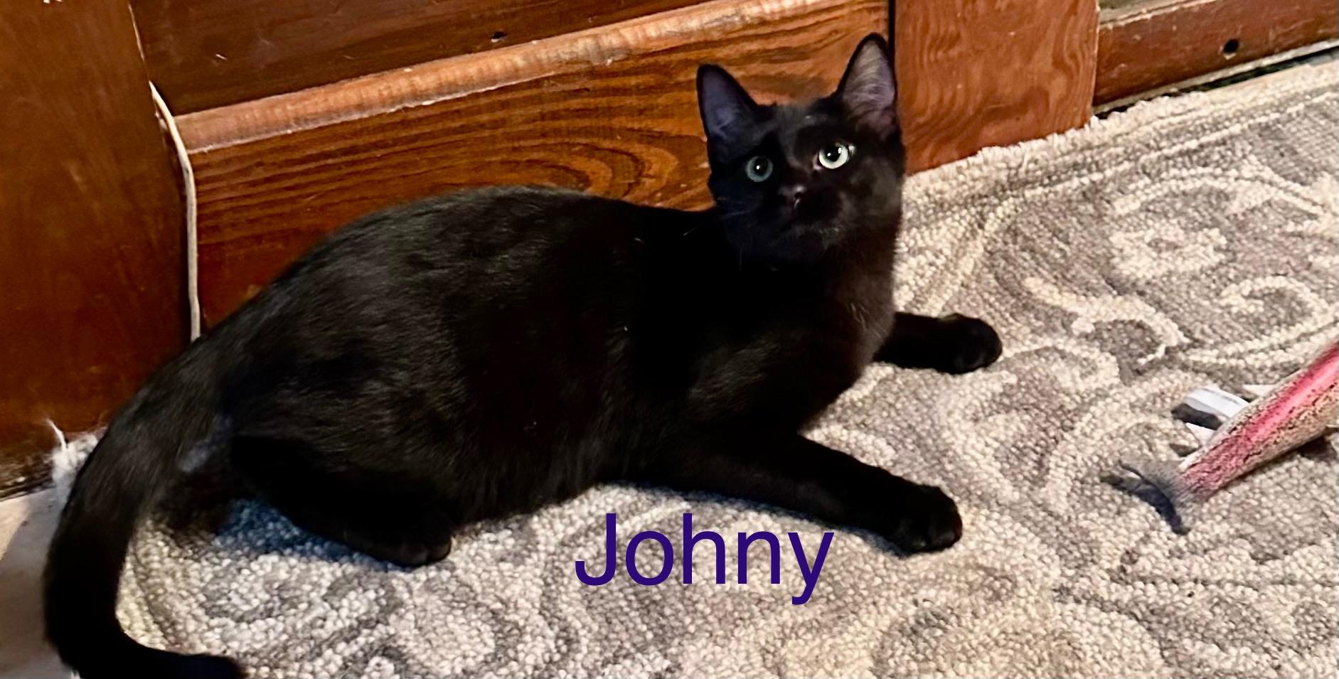 Johny - Sweet Young Male