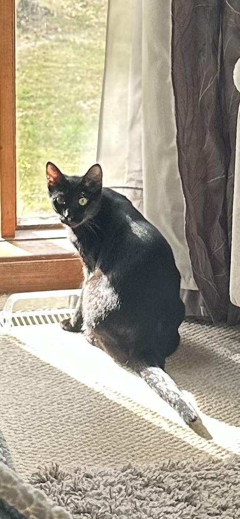 Johny - Sweet Young Male