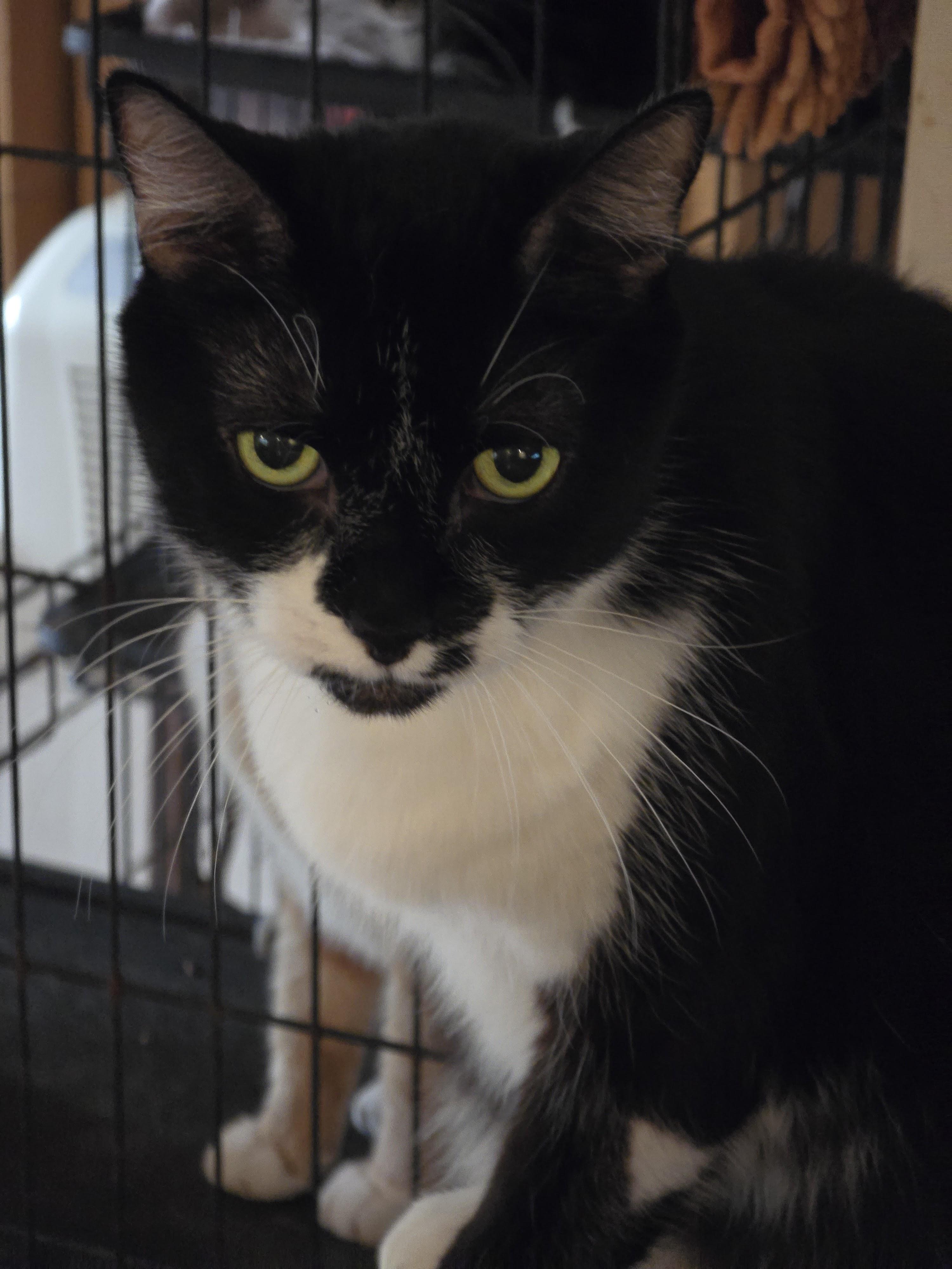 Anna — thumbnail 2