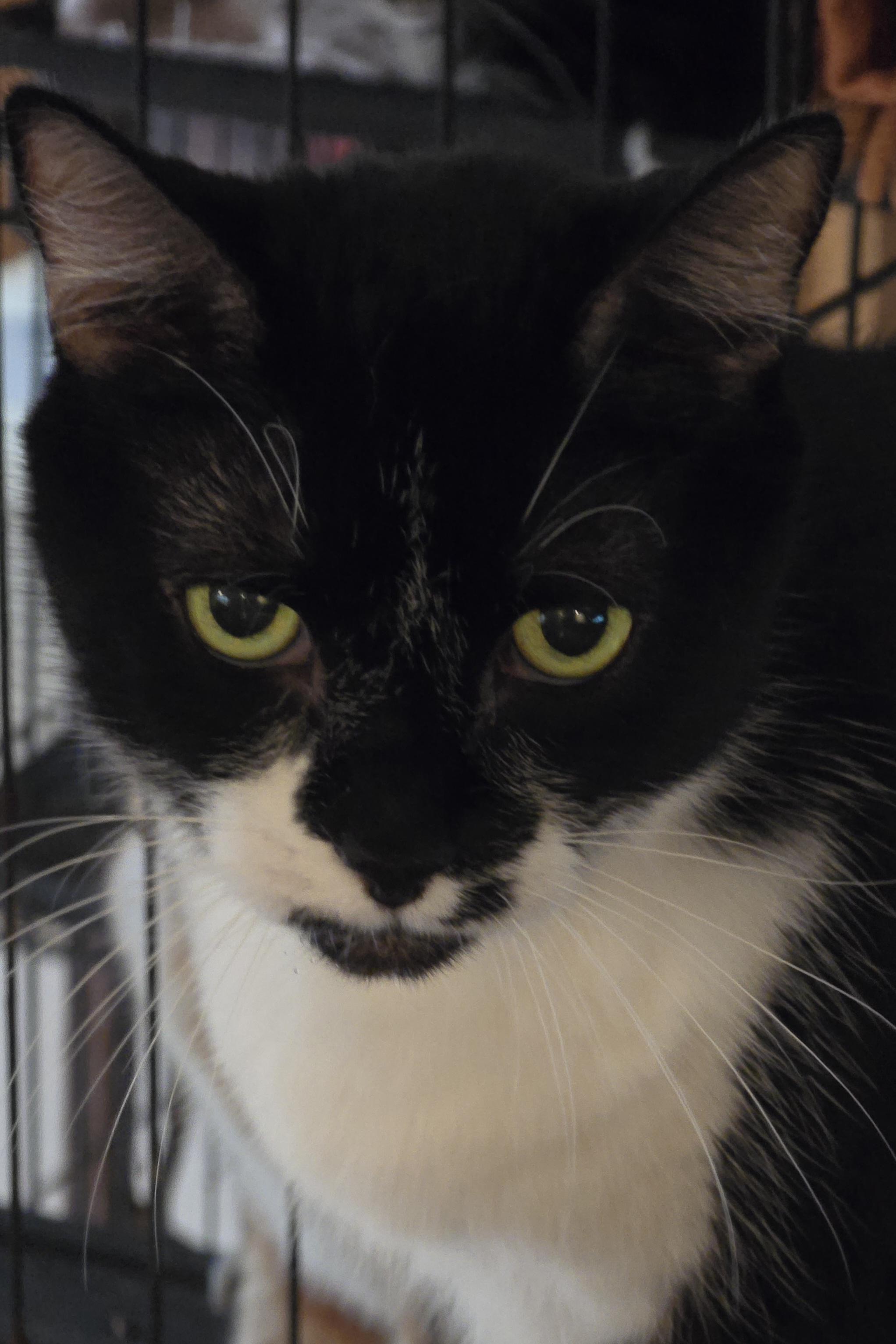 Anna — thumbnail 6