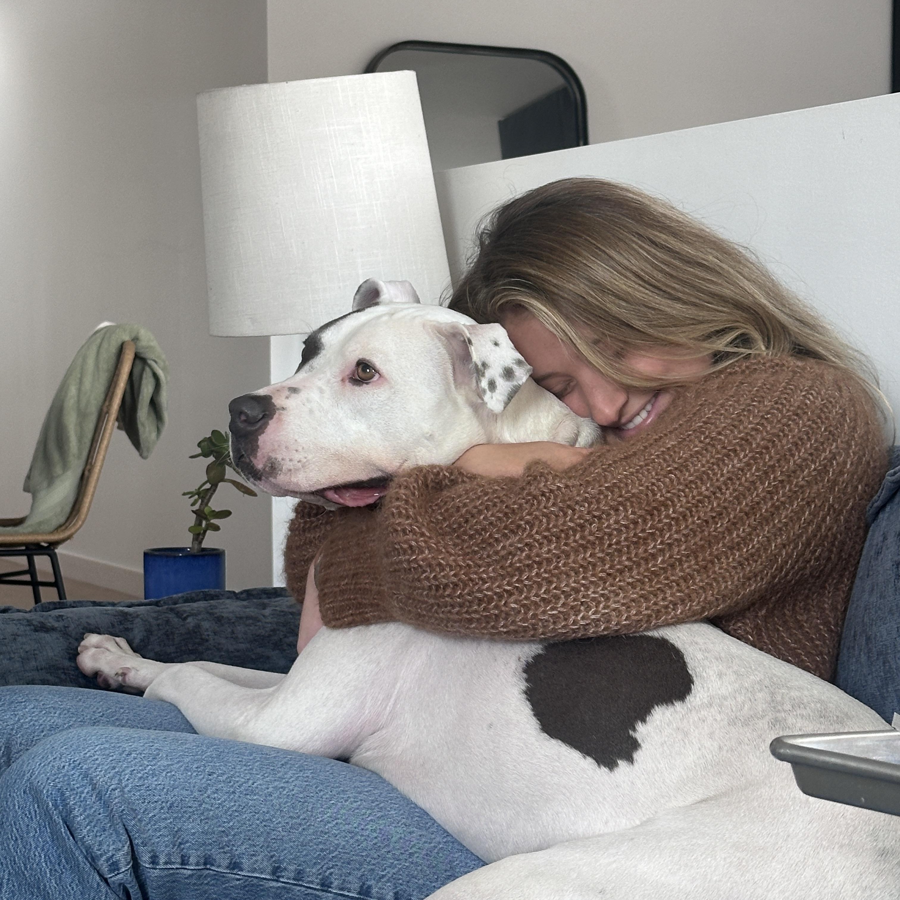 Enlarge Georgy, a Adoptable mixed breed in Huntington Beach, CA image 4/4