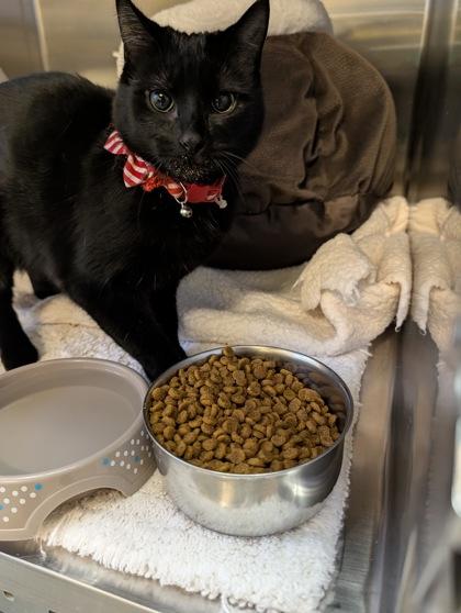 Lotta — thumbnail 2