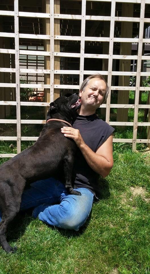 Enlarge ONYX - IN RESCUE 10+YRS., a Adoptable Staffordshire Bull Terrier in Woodsfield, OH image 2/3