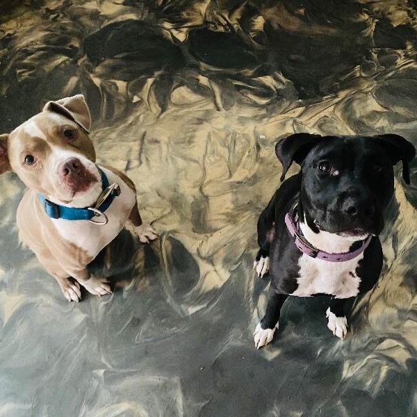 Atari Oliver — thumbnail 2