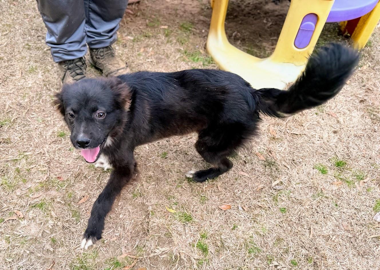 VEVO — thumbnail 2