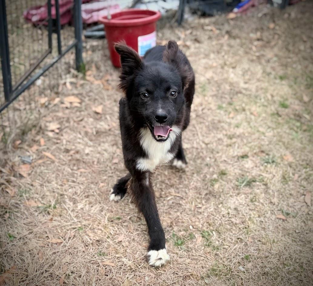 VEVO — thumbnail 3