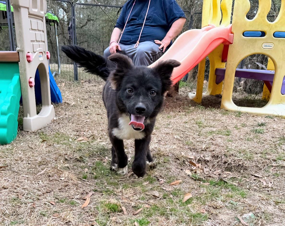 VEVO — thumbnail 4