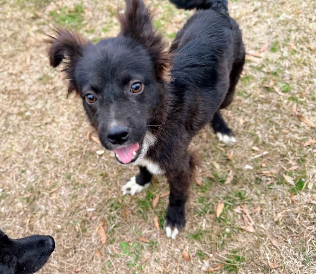 VEVO — thumbnail 6