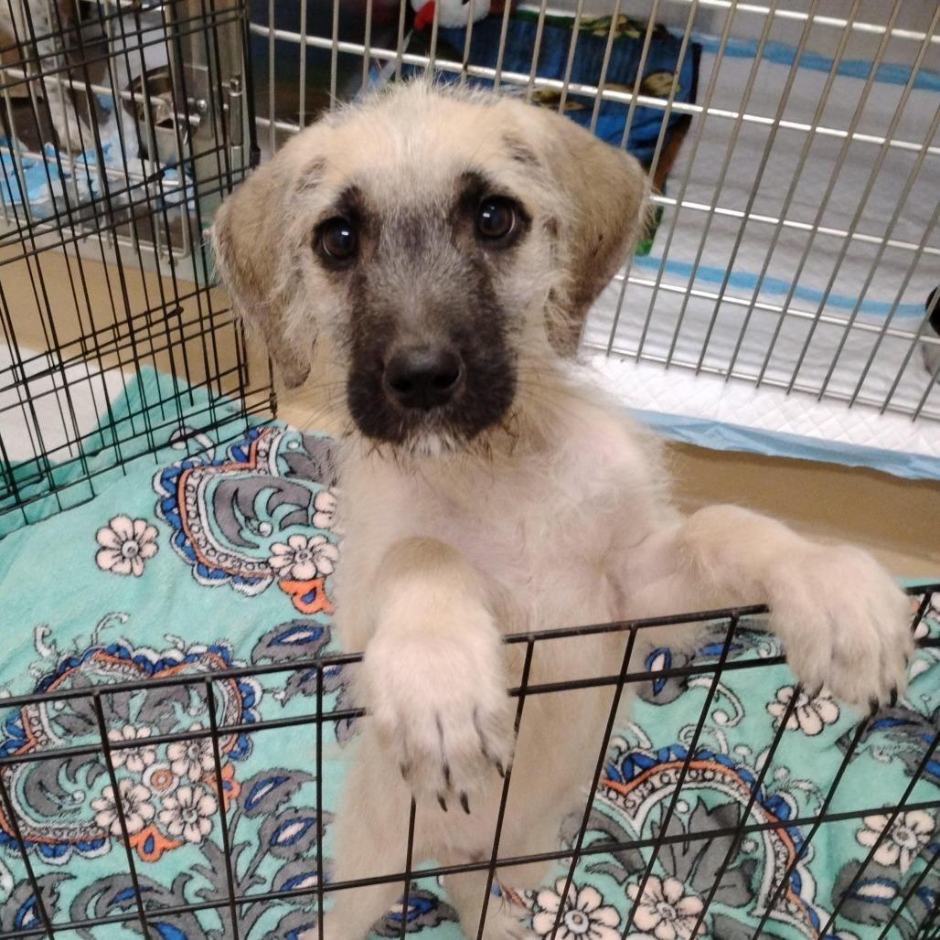 Benjamin thumbnail 2