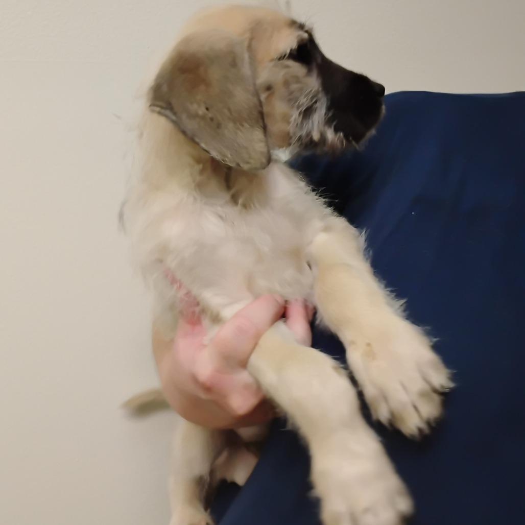 Benjamin thumbnail 3